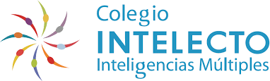 Colegio Intelecto